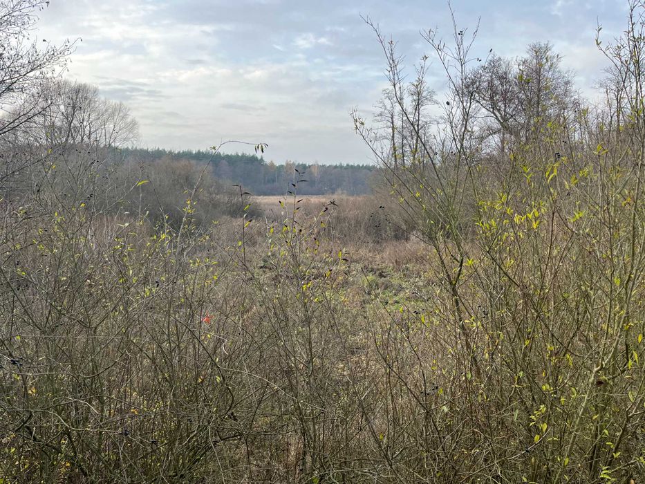 Atrakcyjna działka 2307 m2 z domkiem rekreacyjnym, bezpośrednio