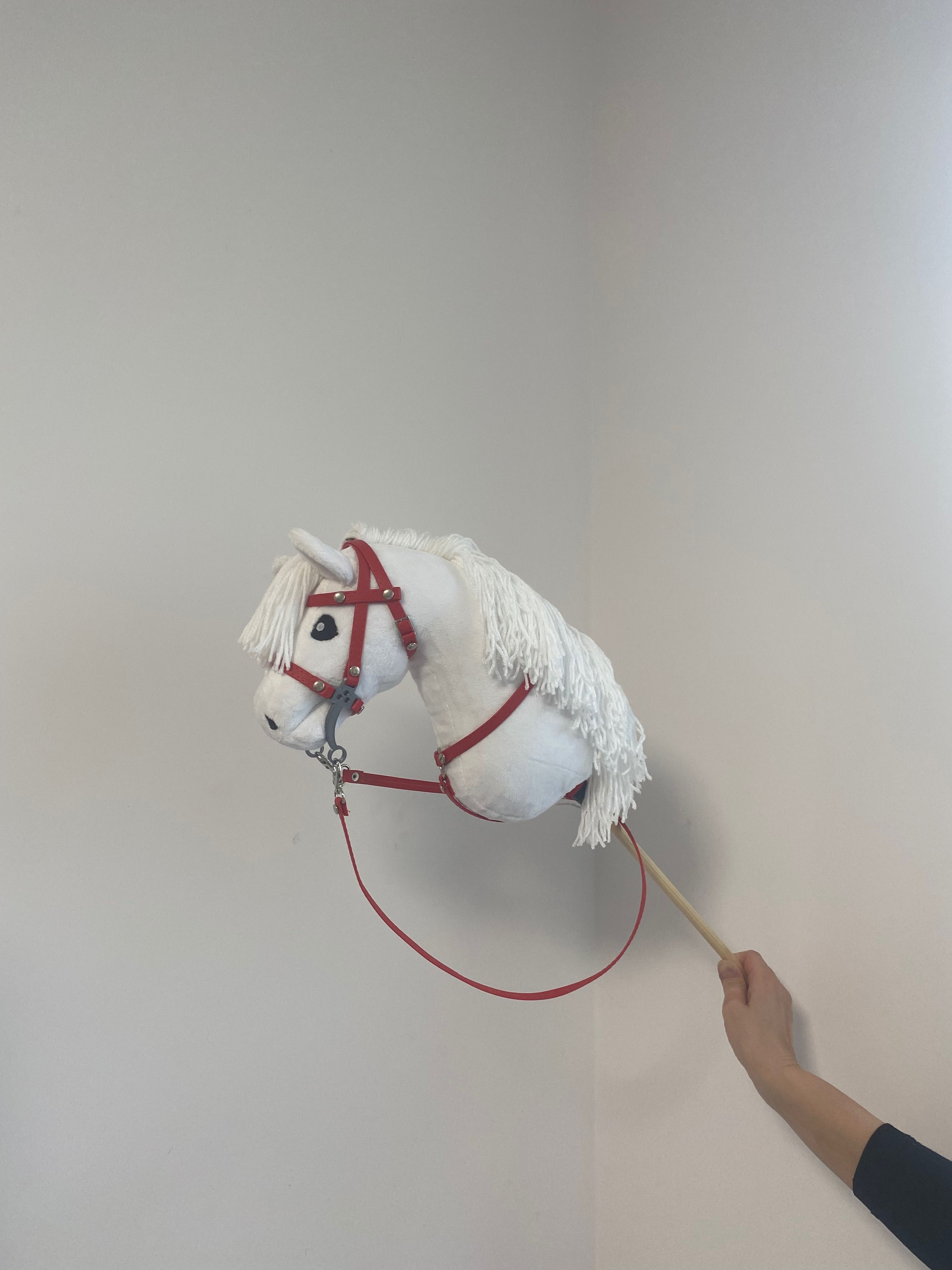 Hobby Horse z kijem