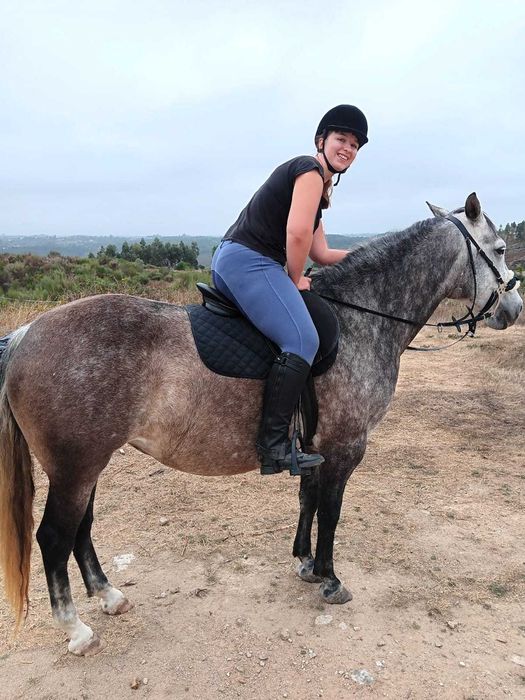 Dois Cavalos (Equas) Luso-Arabe