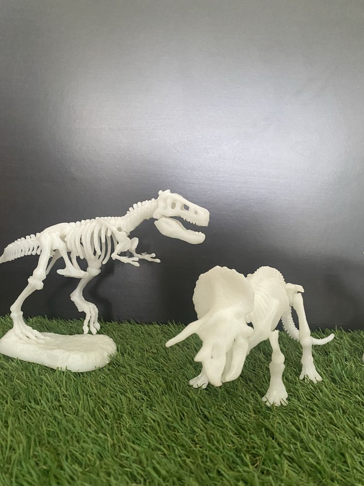 Dinossauros Esqueletos