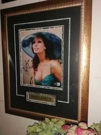 Sophia Loren oryginalny autograf na zdjęciu