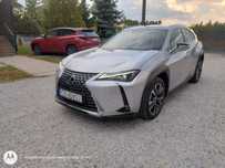 Lexus UX Salon Polska. Navi, kamery, acc