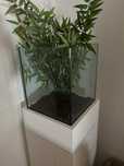 Floreira Antarte
