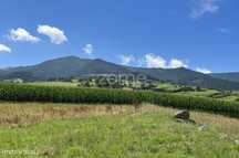 Terreno Urbanizável com 11.600m2 - Nordeste