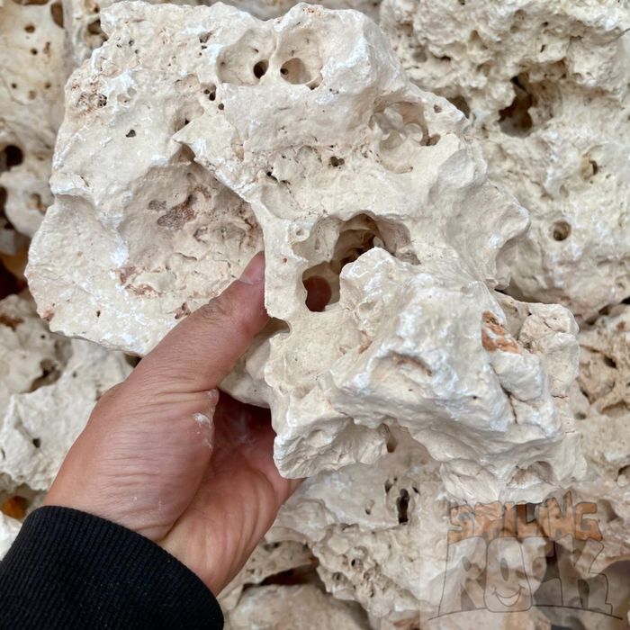 Biały WAPIEŃ FILIPIŃSKI Kamien do Akwarium Malawi Tanganika Skała Grys