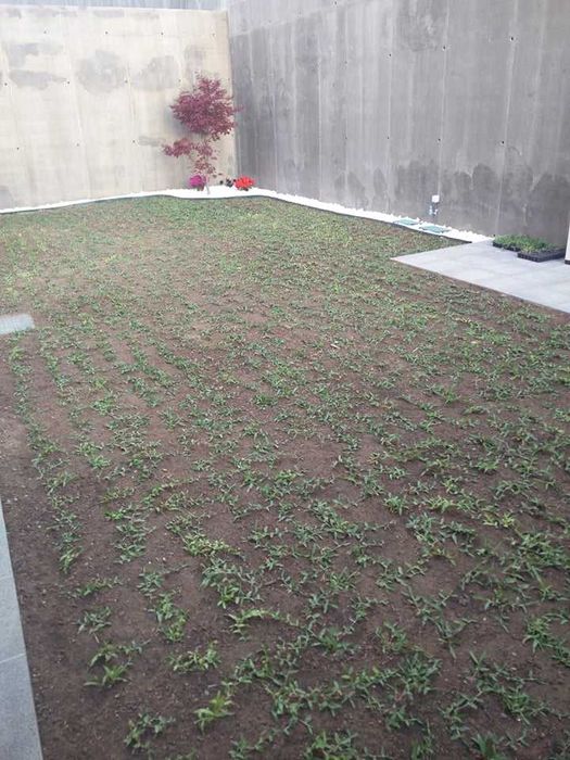 Serviços de jardinagem, Corte de Mato, Relva e Sebes — Gaia / Porto
