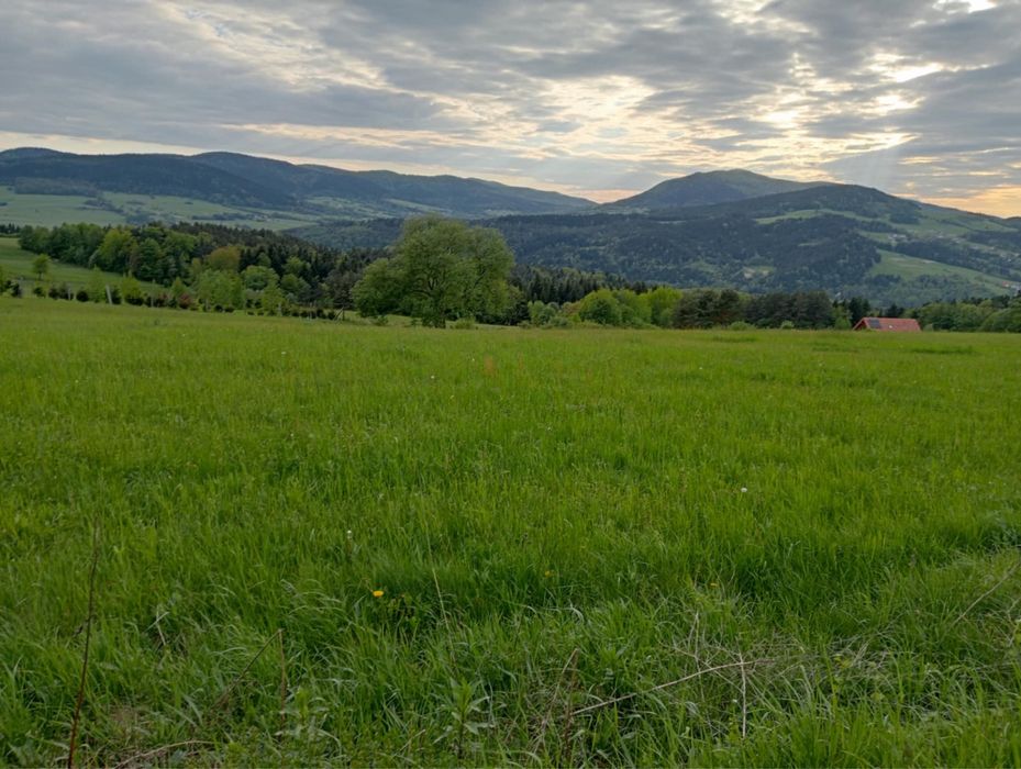 Dom do wynajęcia. Wolny sylwester i święta
