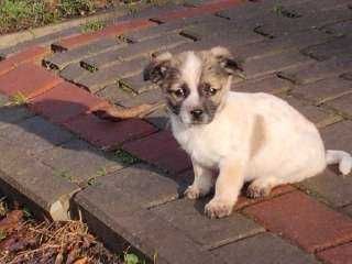 Oddam w dobre ręce.