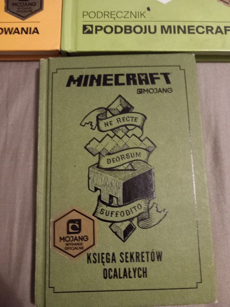 5 książek minecraft
