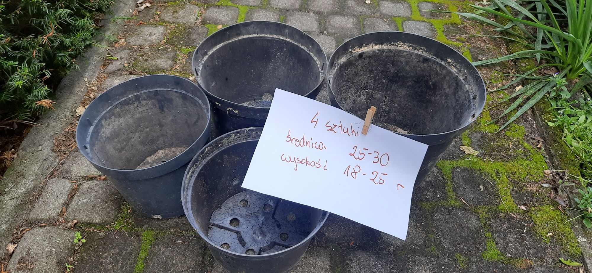 Doniczki produkcyjne oddam za 1 zł