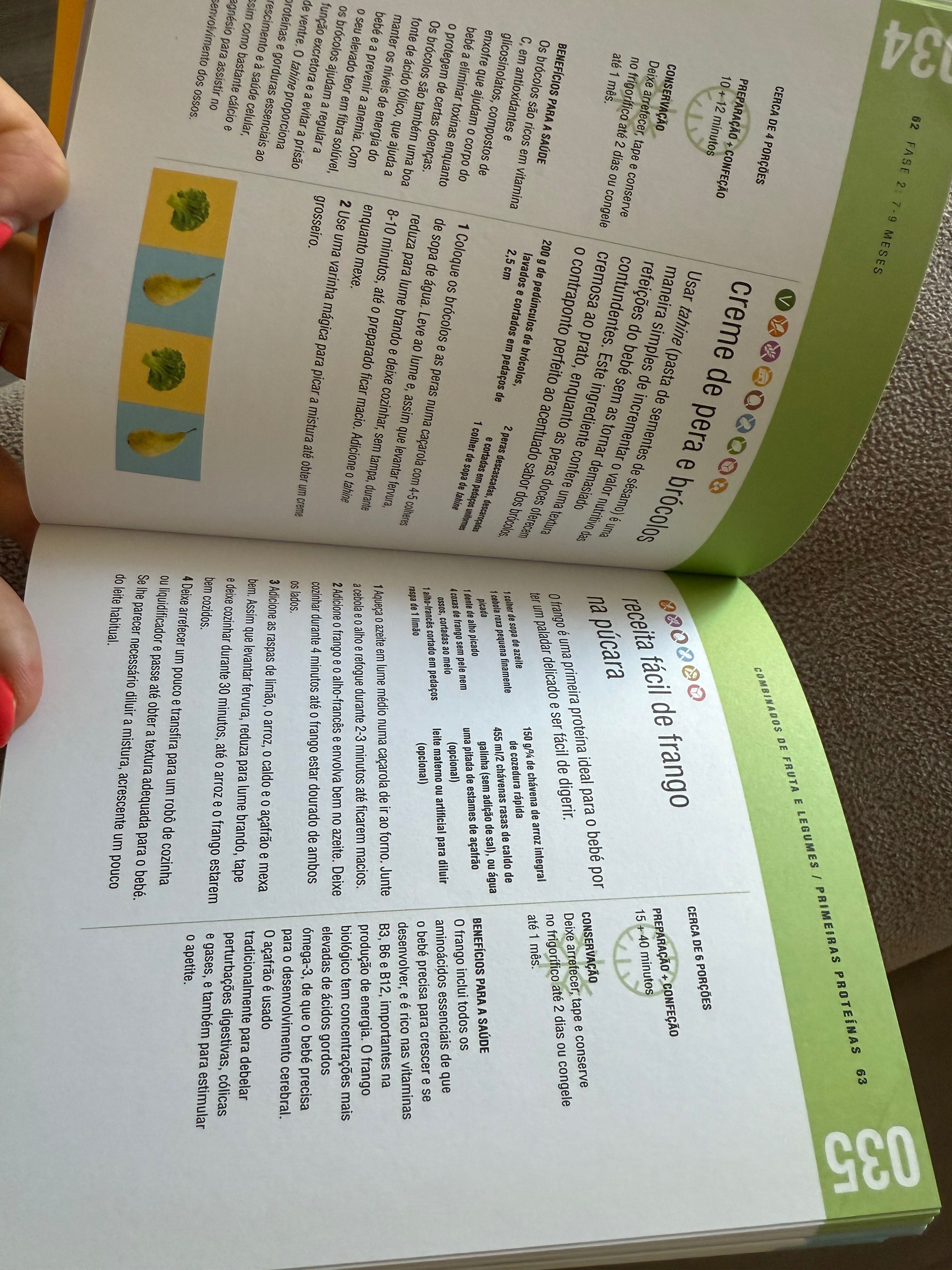Livro de 100 receitas para bebés