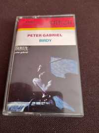 Peter Gabriel Birdy