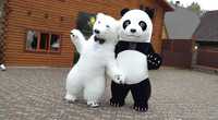 Белый Мишка и Панда на любое торжество