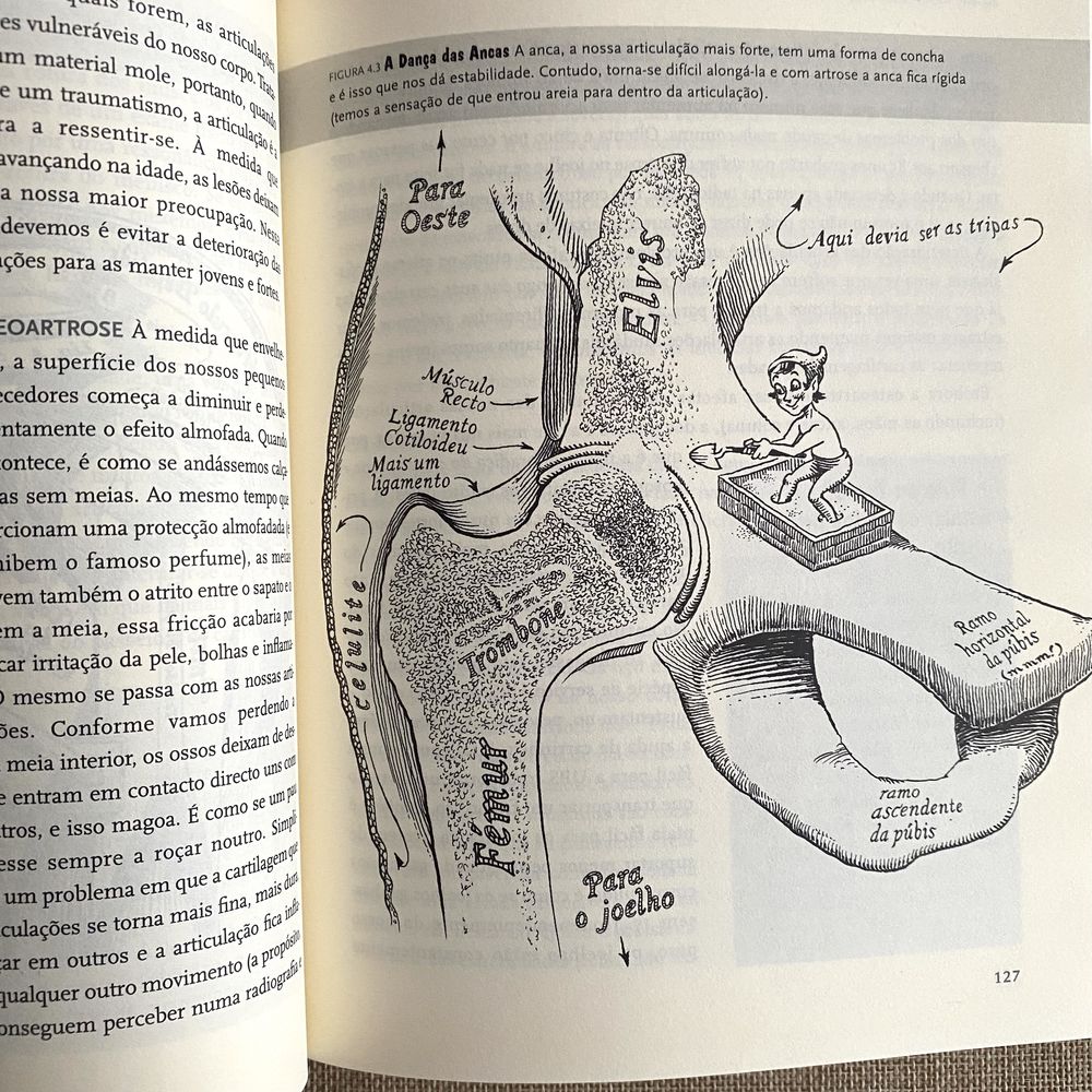 You- Manual de Instruções,Dr. Michael F.Roizen & Dr. Mehmet C.Oz