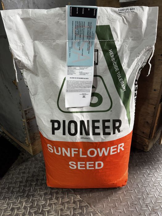 Насіння соняшнику Піонер P64LE185/Сінгента Суміко