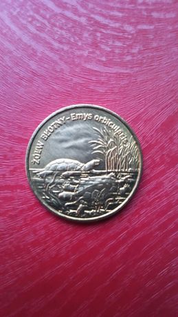 Moneta 2 zł Żółw Błotny 2002 rok.