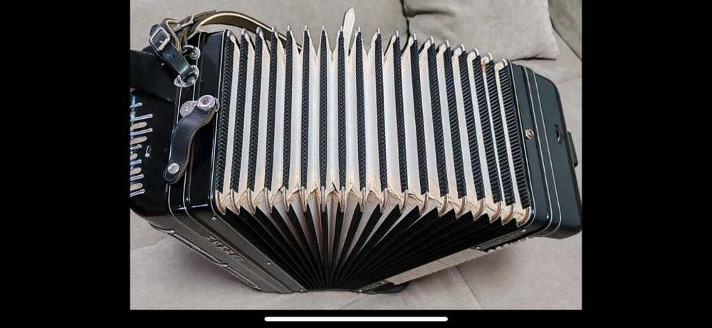 Hohner Morino Artiste XII, Gryf C – akordeon guzikowy, 8 rzędów basów