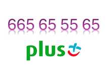 Platynowy numer 665_65_55_65 złoty numer plus