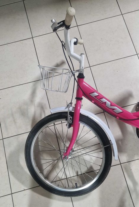 Bicicleta Menina com Cesto - Roda 20"