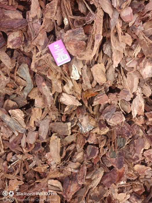 Kora sosnowa Gruba sortowana 40-70mm/ 80l