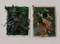 Картина панно з моху, мха. Подарунок  33×42 см