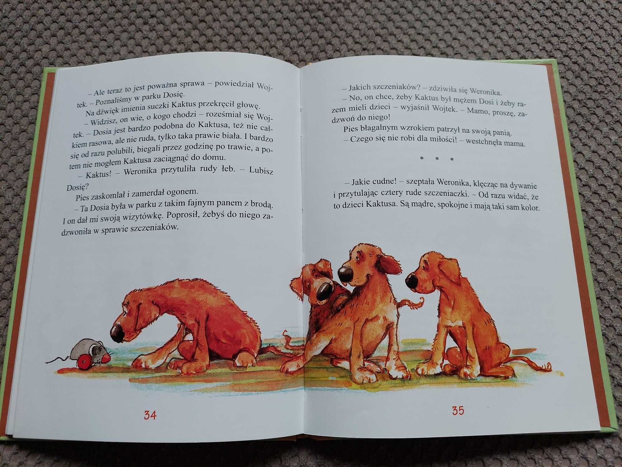 "Kaktus dobry pies" Barbara Gawryluk