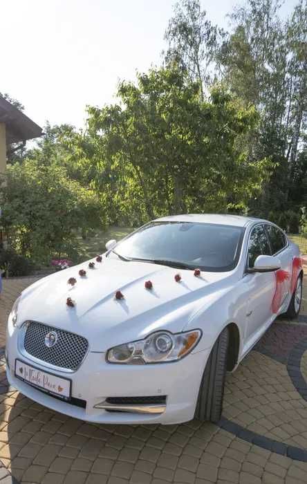 Samochód do ślubu, jaguar xf