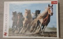 Puzzle trefl 1000 el