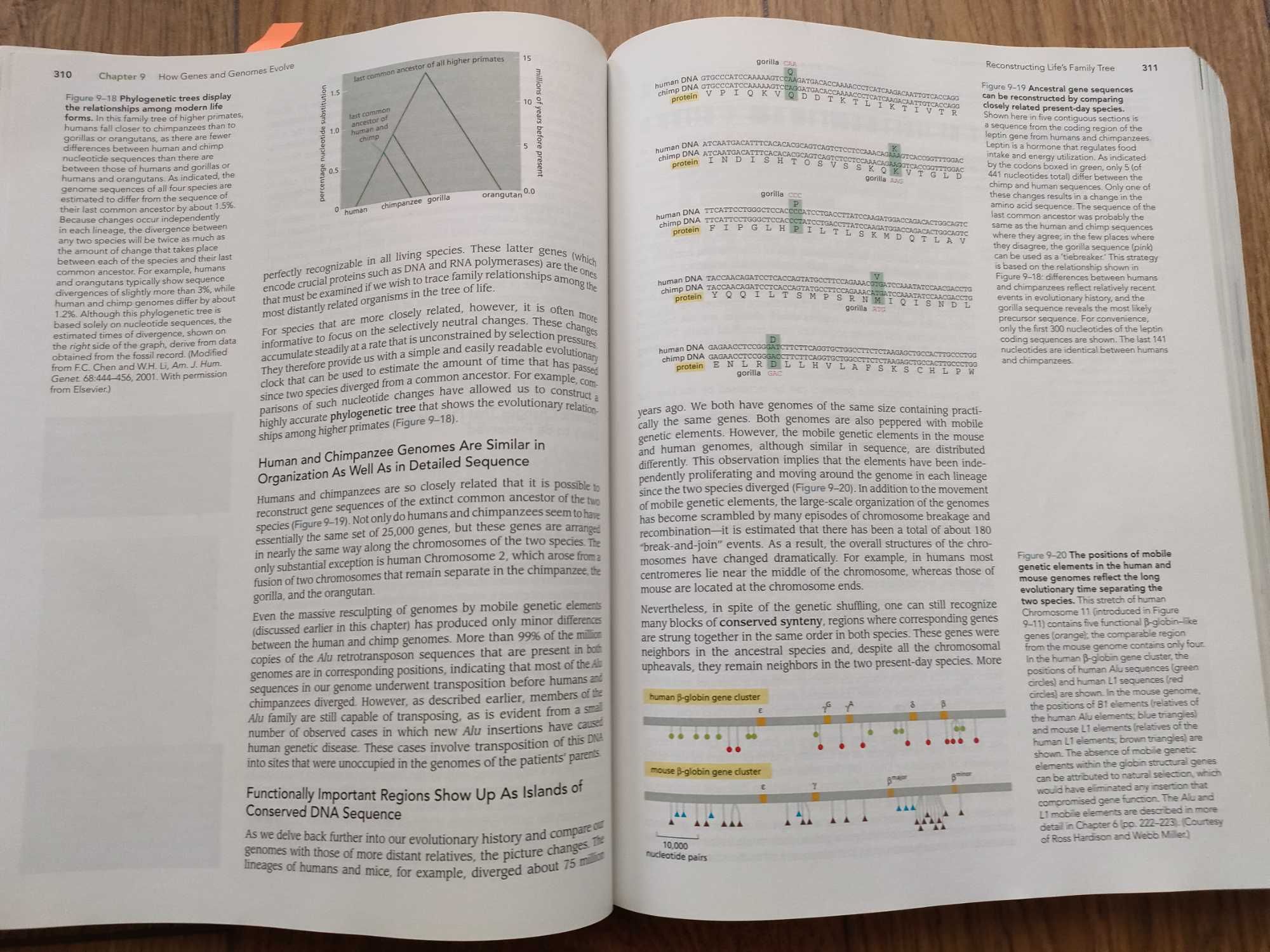 Essential Cell Biology  - Alberts