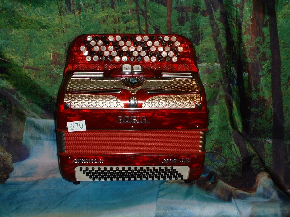 Acordeão avenda G, .670