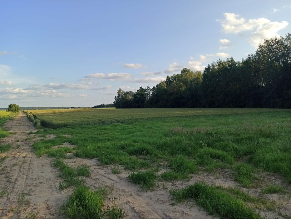 Działki budowlane w Zawadach