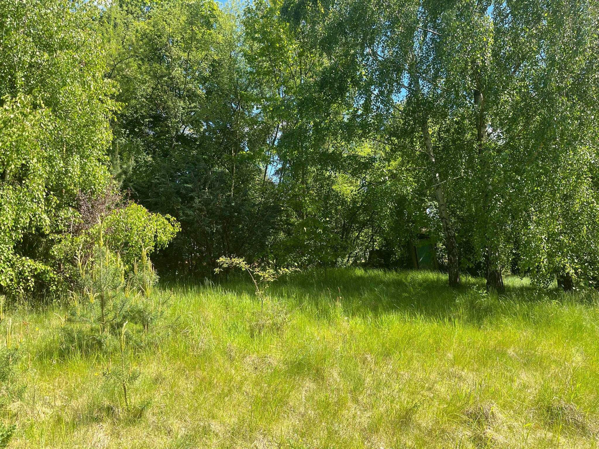 Wynajmę działkę bezpośrednio nad Jeziorem Brodnickim