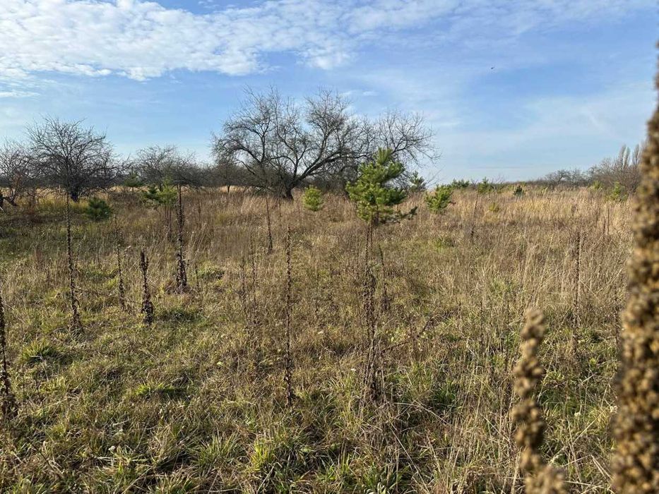 Продаж ділянки 10 соток під забудову. Біля лісу.Зручний під'їзд.ID:728