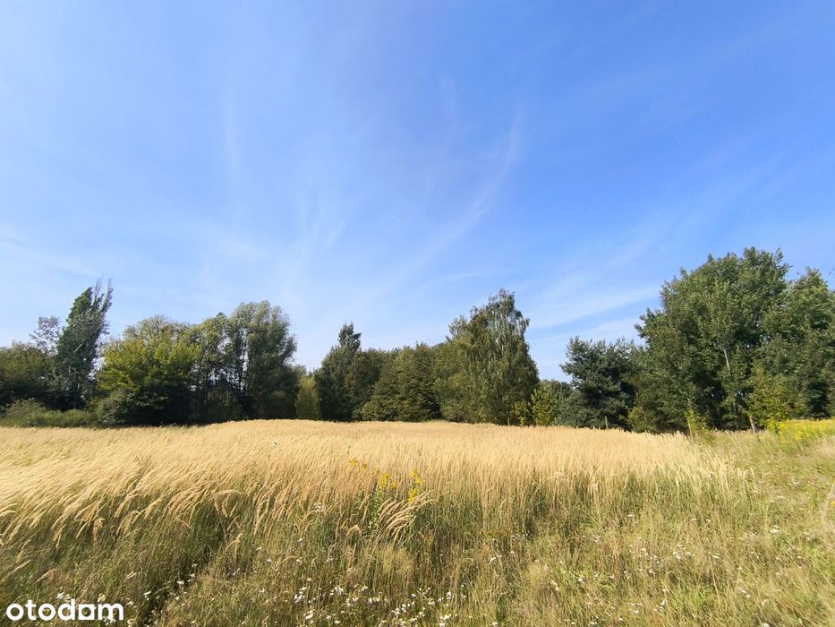 Działka Usługowa, 2000 M² Kobylin, Gmina Grójec, Mpzp