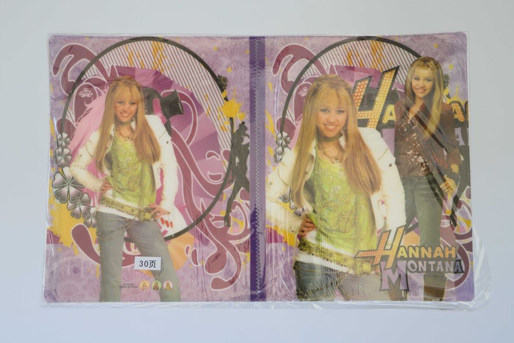 Папка органайзер А4 с 30-ю файлами