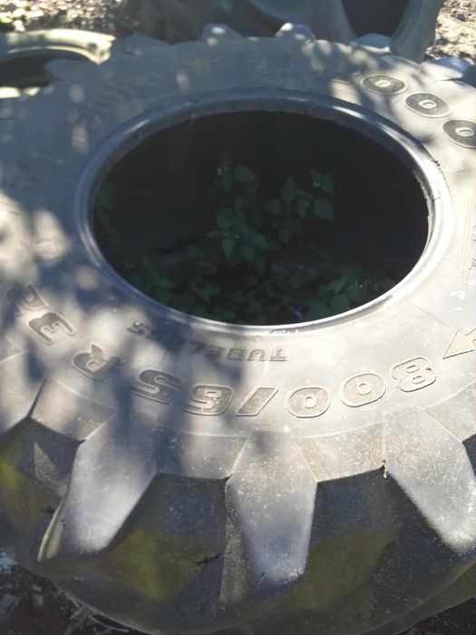 Продам скати б/у