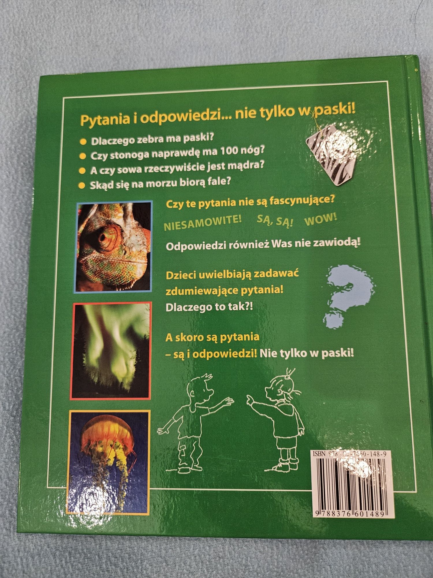 Dlaczego zebra ma paski książka
