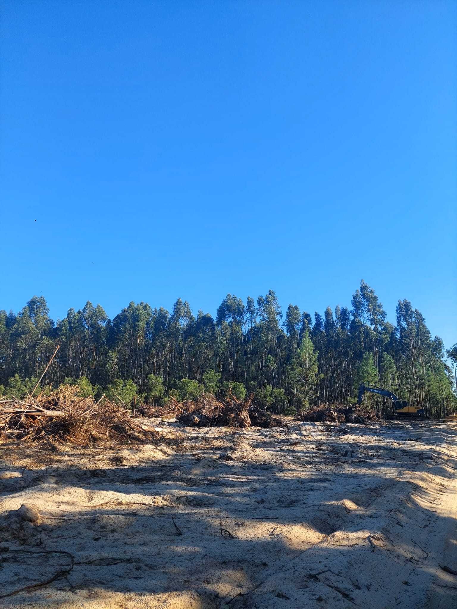 Terreno em Vale de Agua