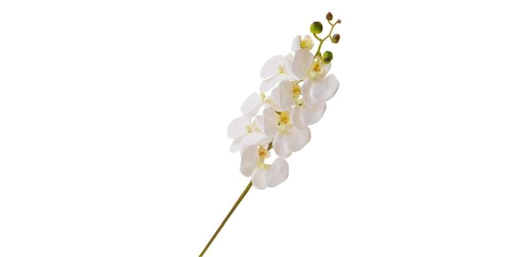 Storczyk sztuczny jak żywy orchidea pojedyncza gałązka 75 cm biały
