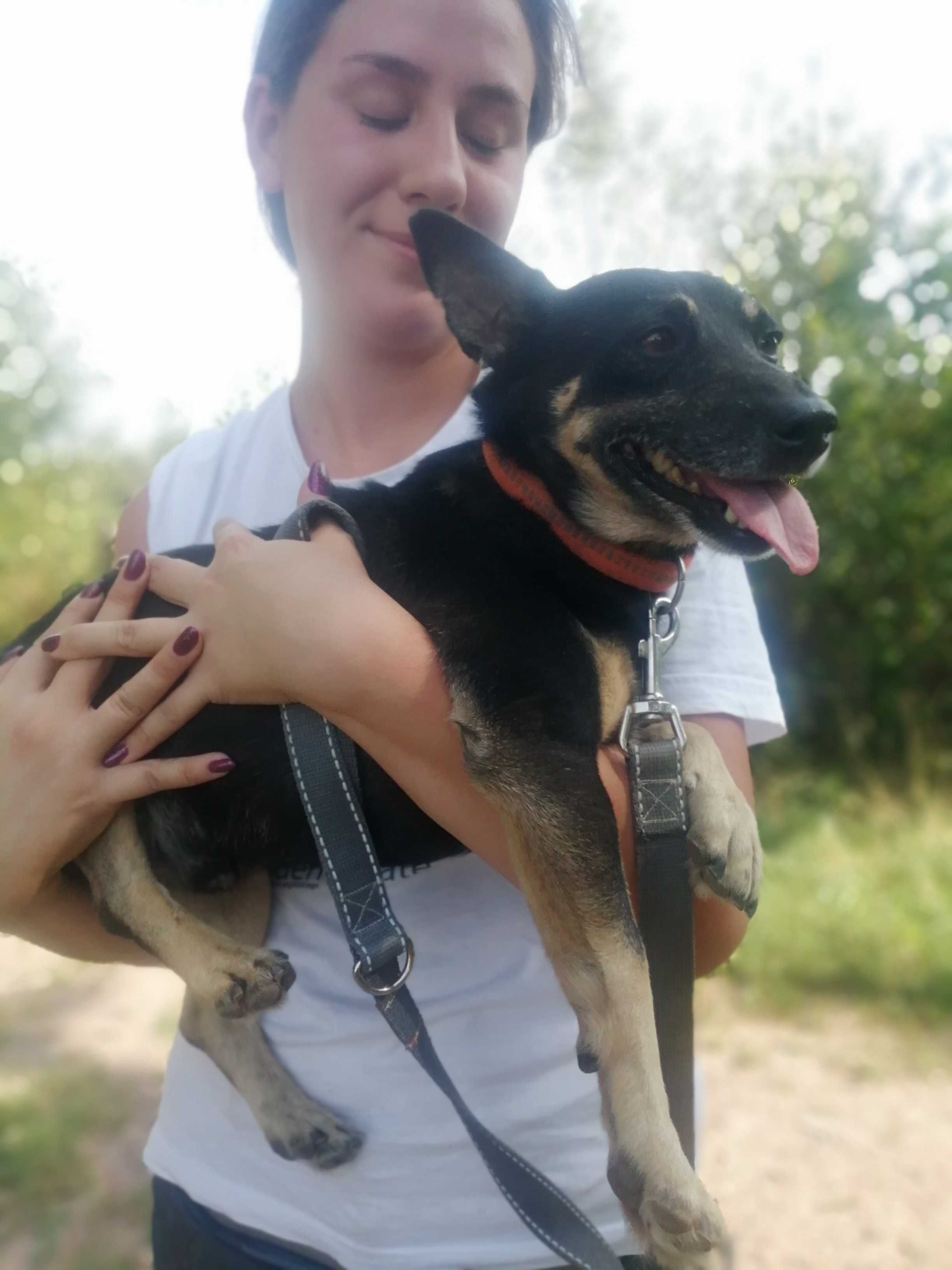Adoptuj księcia! :)