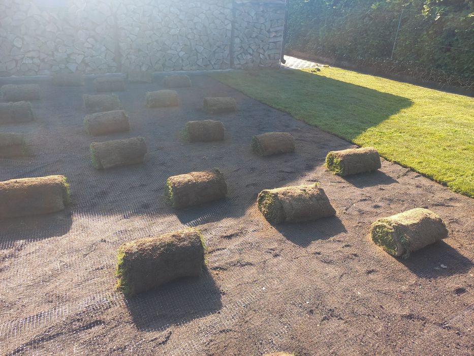 Trawa trawnik z Rolki sprzedaż transport montaż wysyłki