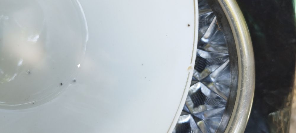 Чашки чайного сервиза Жито 50-60 гг