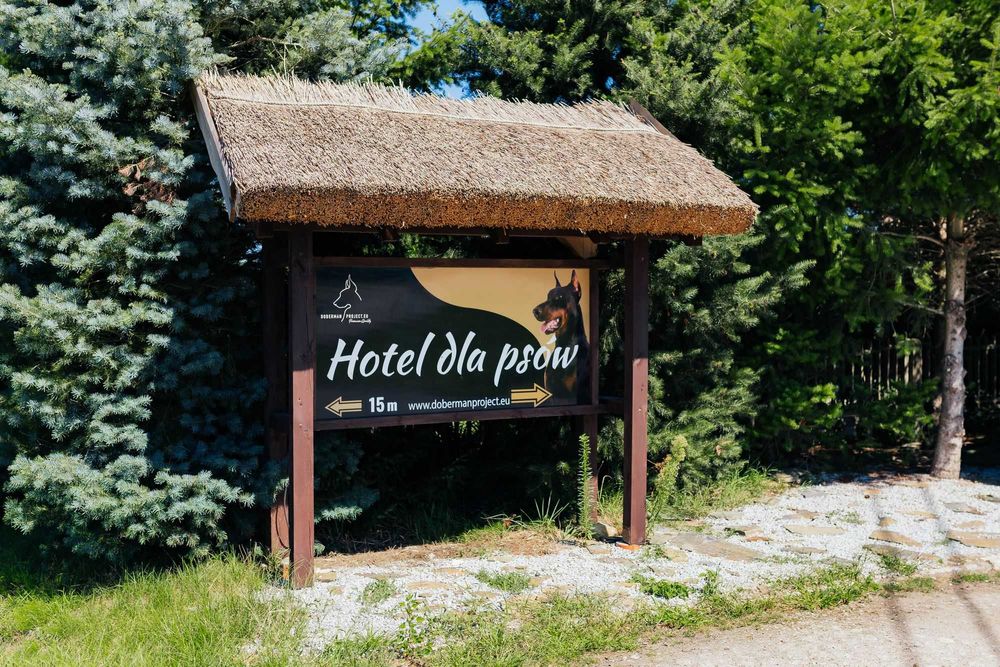 HOTEL DLA PSÓW Dobermanproject.eu