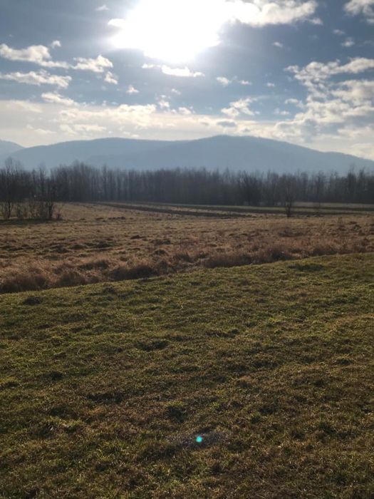 Продам землю в Карпатах