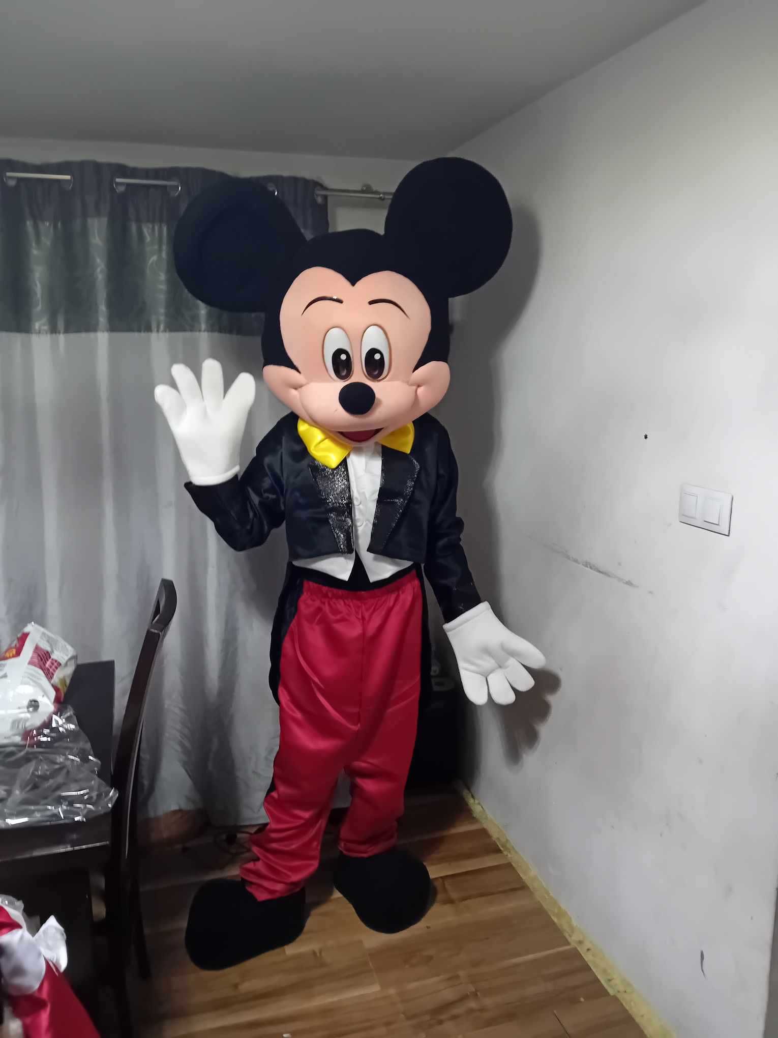 Maskotki reklamowe Myszka Mickey i Miniee