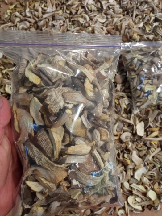 Вешенка сушеная глива