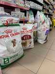 Продам корм Royal Canin на вагу або мішком