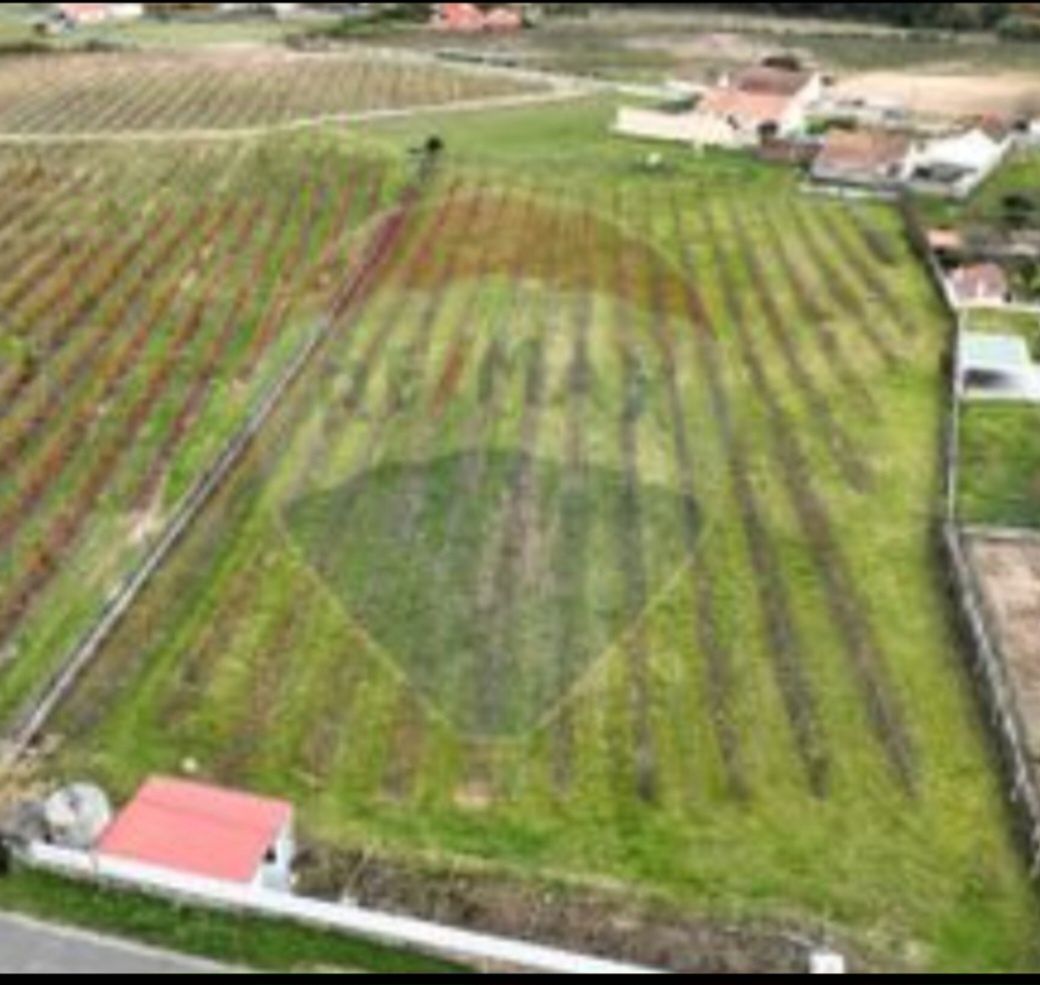 Terreno com possibilidade de construção, no concelho de Óbidos ( Reser