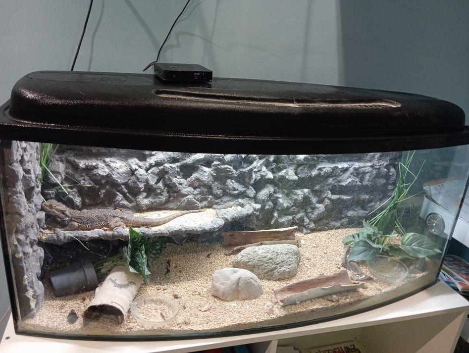 Sprzedam terrarium