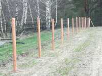 Słupki ogrodzeniowe drewniane 2,6m fi10